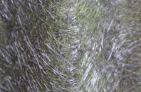 Oldbury On The Hill fibreglass roof work